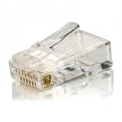 Conector Plug Cat. 5e