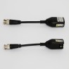 Convertidor BNC Par Trenzado